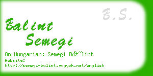 balint semegi business card